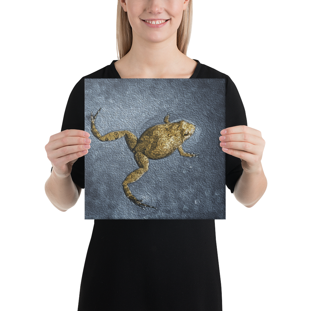 Swimming Frog Canvas