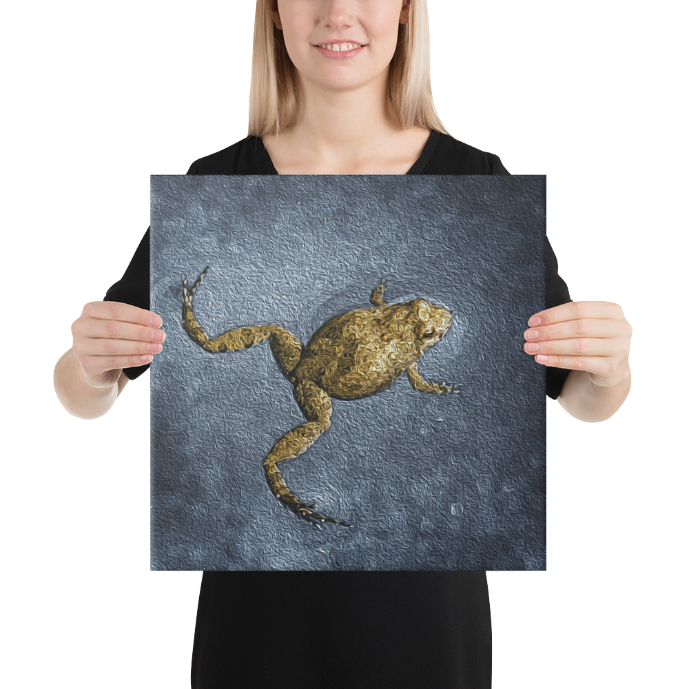 Swimming Frog Canvas